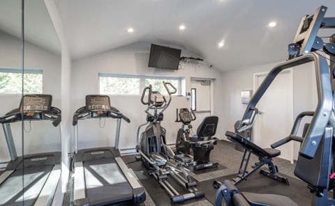 A gym with treadmills, elliptical machines, and a television.