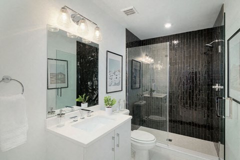 a bathroom with a shower and a sink and a toilet