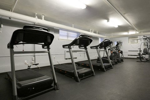 A gym with treadmills and elliptical machines.