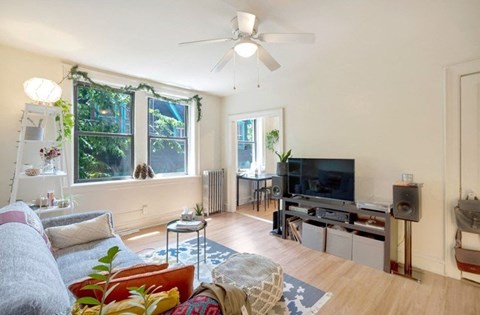 A living room with a grey couch and a television.