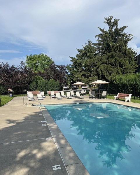 A large swimming pool surrounded by trees and lounge chairs.