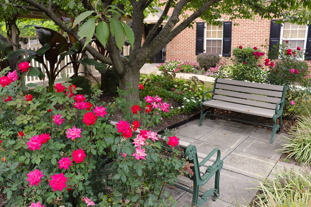 two benches in a garden with pink flowers