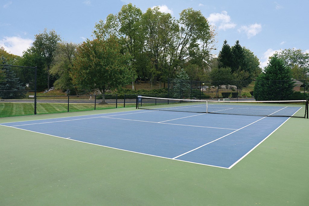 a tennis court in a park with trees