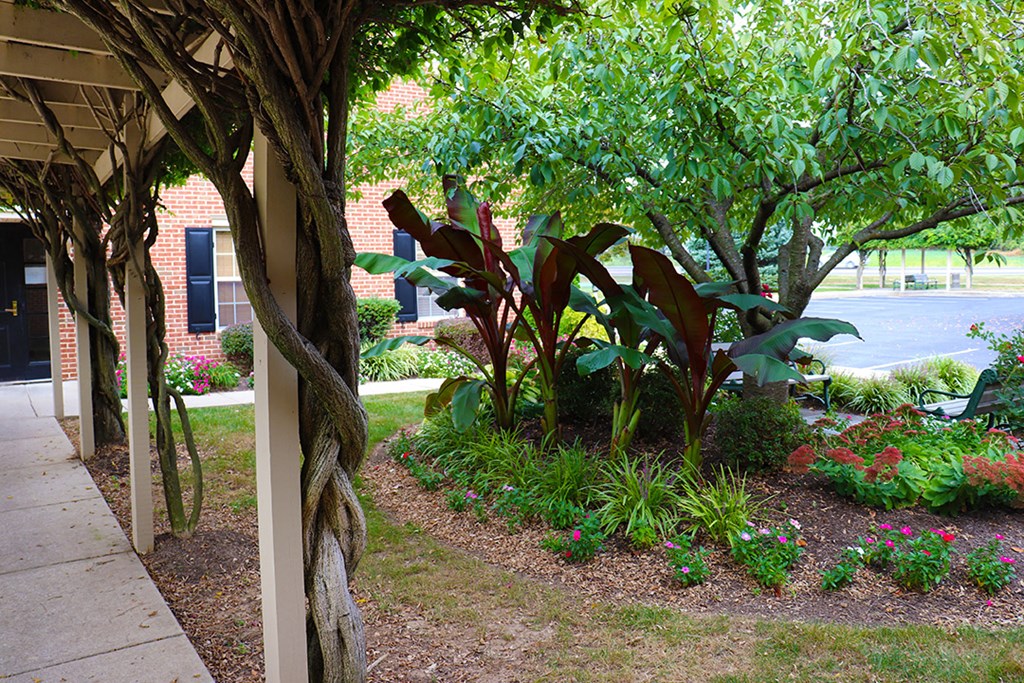 a garden with plants and trees in front of a building