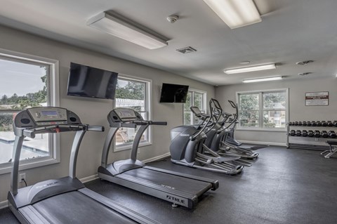 A gym with treadmills, exercise bikes, and dumbbells.