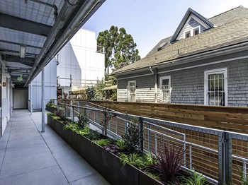 Landscape area l 4801 Shattuck Apts - Photo Gallery 4