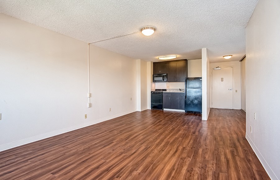 kitchen and living area 