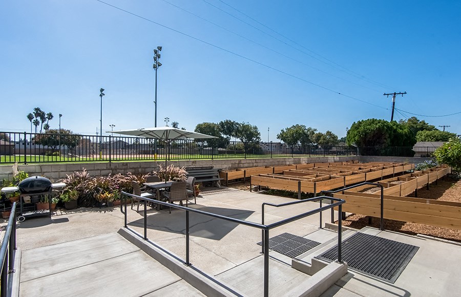 Garden area with planter boxes 
