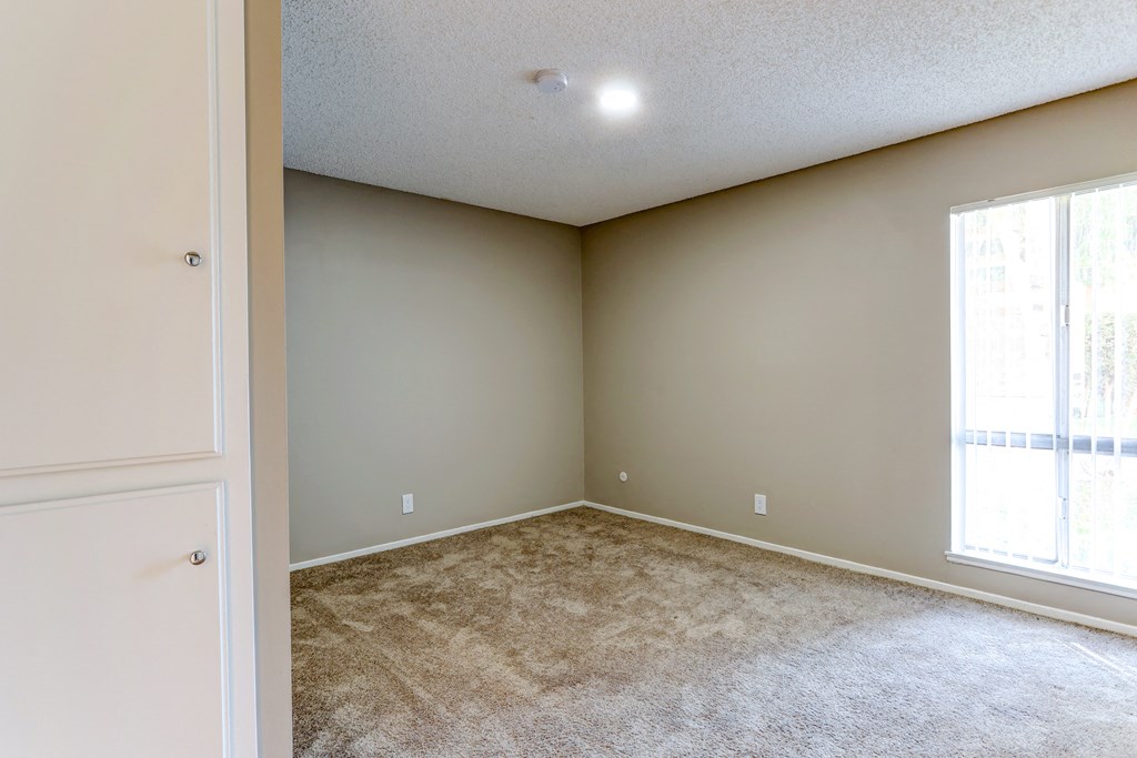 an empty living room with carpet and a window