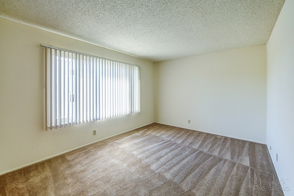 Apartments in Daly City for Rent - Terrace View - Empty Bedroom with Large Window and Carpet.