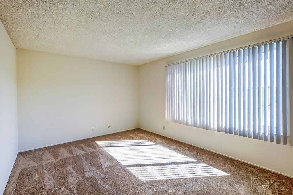 a spacious bedroom with a large window and carpeted flooring