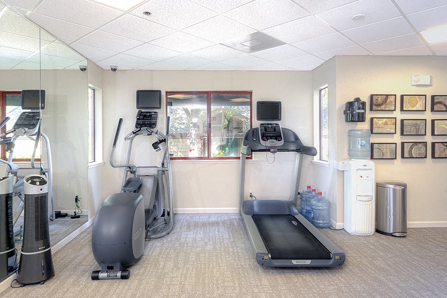 a room with a treadmill and bike