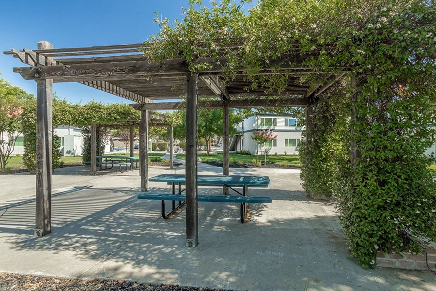 Outdoor picnic table with lush foliage