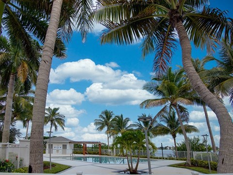 Pool area with lounge chairs at Aqua 2800, Oakland Park