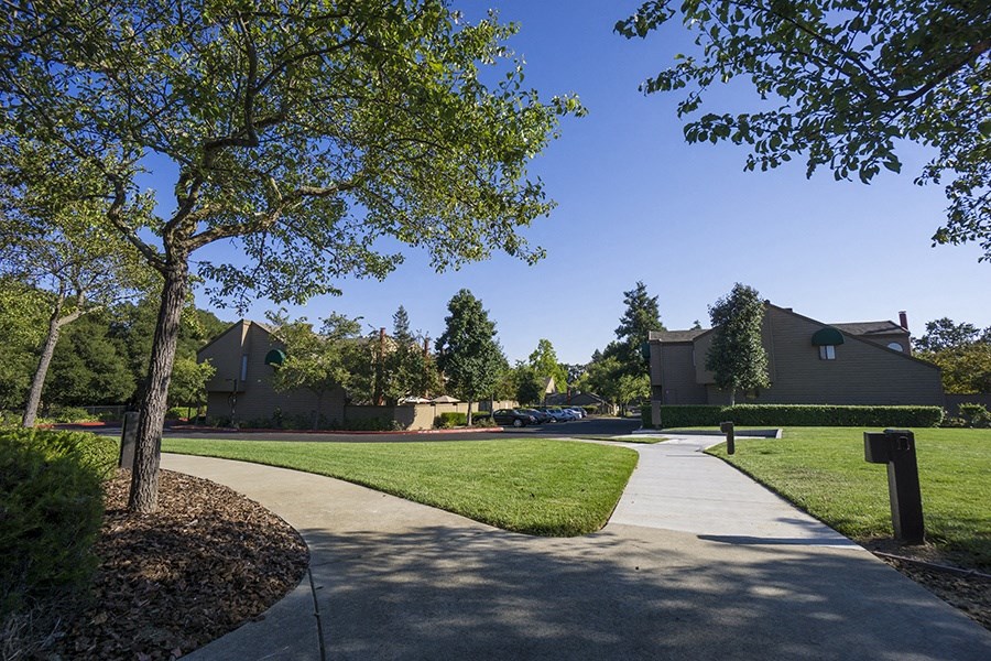 a sidewalk leads through the community 