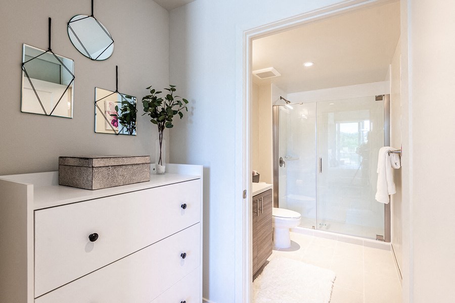 Spacious on-suite closet