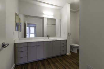 Bathroom vanity l 4801 Shattuck Apts - Photo Gallery 6