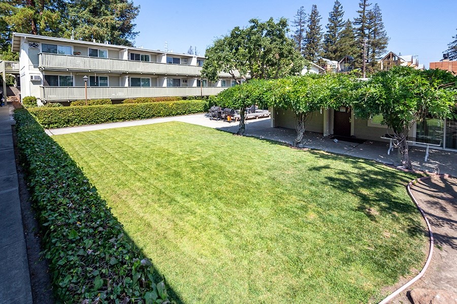 Walnut Hill Apartments in Walnut Creek, CA courtyard space with lush green landscaping