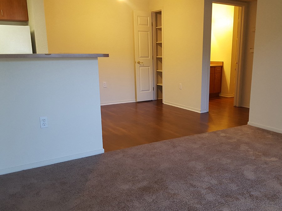 Living area with kitchen and pantry space
