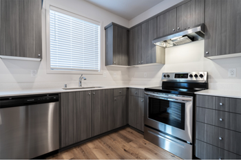 Spacious kitchens with natural lighting and full size stainless steel appliances - Photo Gallery 2