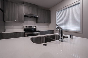 Quartz countertops and dual kitchen sinks - Photo Gallery 4