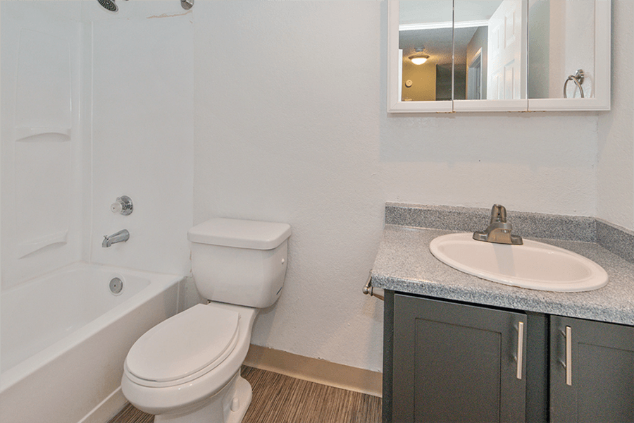 Full size bathroom with vanity and shower and tub combo.