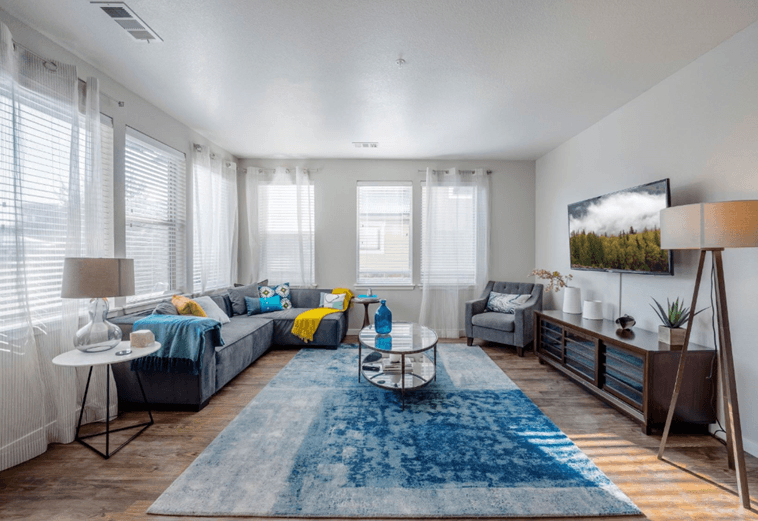 Oversized, Energy Efficient Windows Flood Our Homes with Natural Light