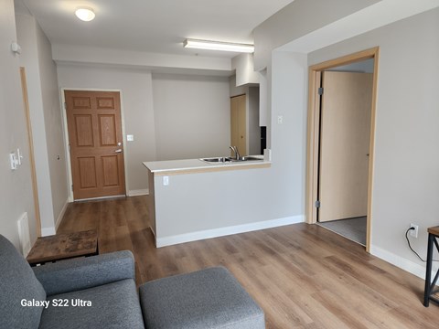 A living room with a grey sofa and a wooden door.