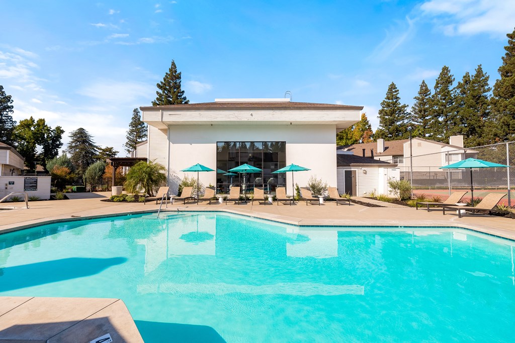 Citrus Heights, CA Apartments - The Arlo - Pool with Lounge Chairs and Umbrellas Around It