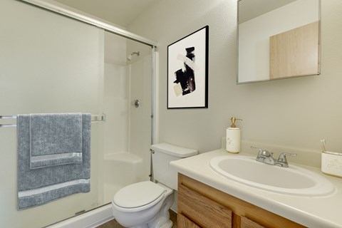 Bathroom With Walk-In Shower, Toilet, Sink, And Vanity Mirror. at TOWNSHIP SHERWOOD, Oregon, 97140