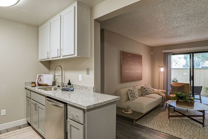 Kitchen and living room