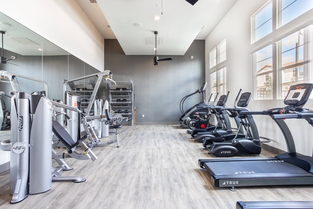 the apartments at masse corner 205 fitness room