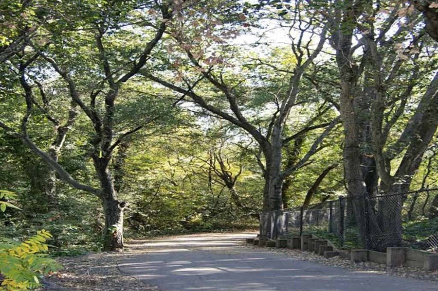 Path with a fence on the side of it