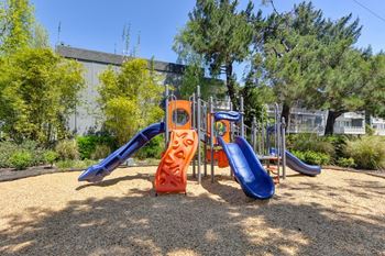 a playground with three slides and trees in the background