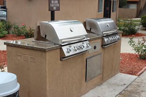 BBQ Area 