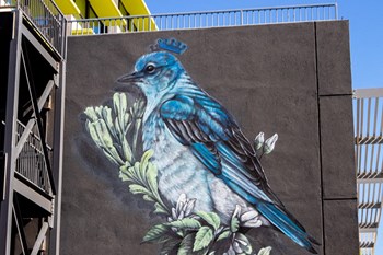 Art work on building of bird - Photo Gallery 3