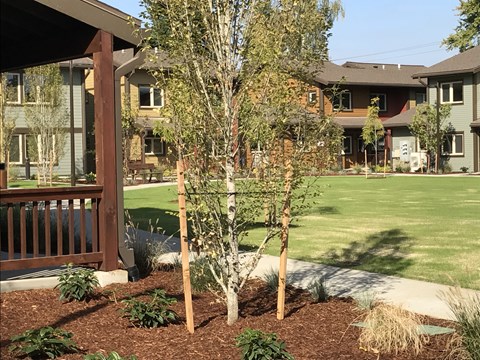 Green Space With Gazebo at Bridge Meadows Beaverton 55+, Beaverton Oregon