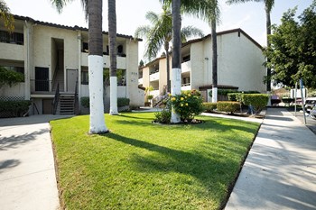Palm trees and pathways for residents - Photo Gallery 4