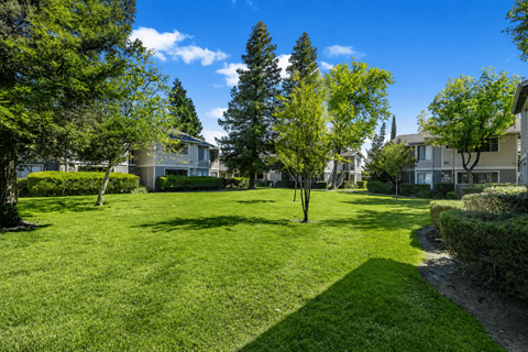 A grassy area with trees and houses in the background.