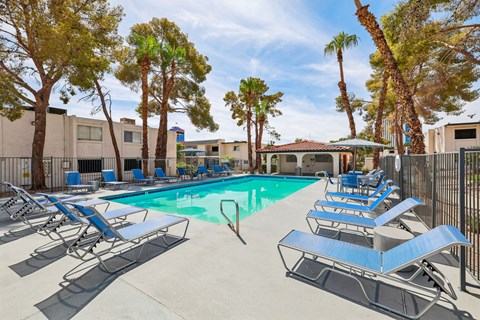 A pool surrounded by palm trees and sun loungers.