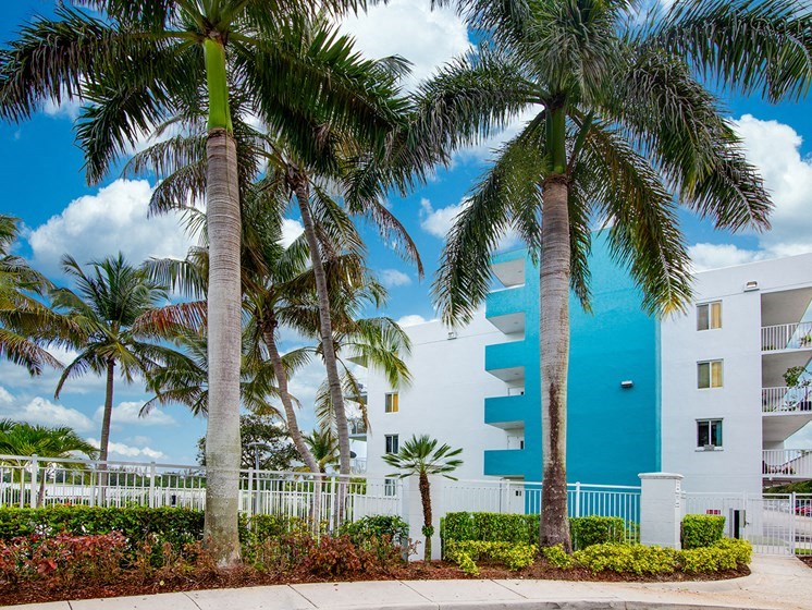 Building and landscape  Aqua 2800 Apartments in Oakland Park Florida