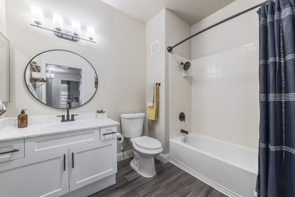 Bathroom Detail Mirror