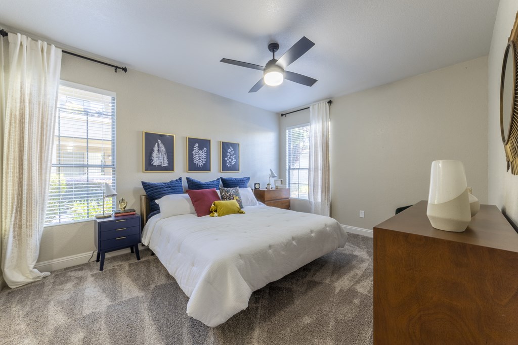 Bedroom with Windows