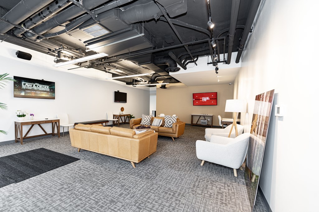 a living room with couches and chairs and a tv