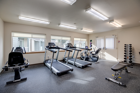 A gym with treadmills, exercise bikes, and weights.