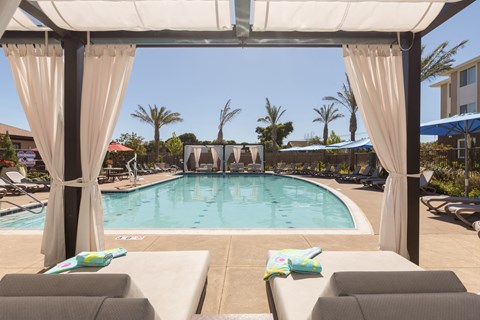 the swimming pool at the resort