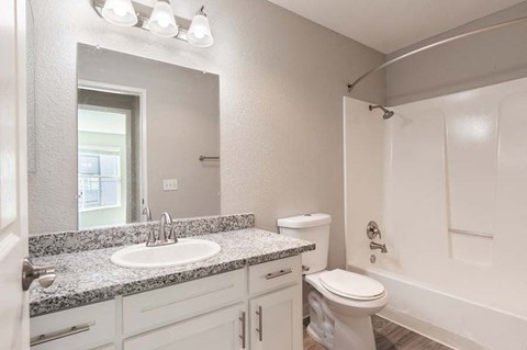 Bathroom vanity and shower