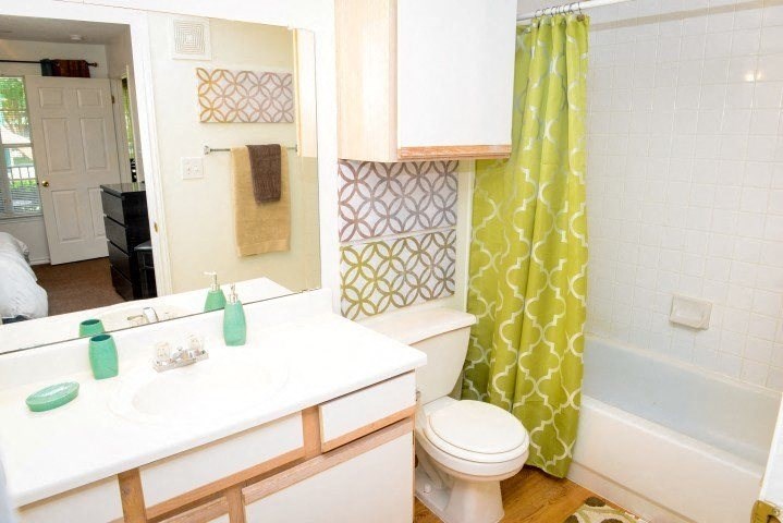 Bathroom shower and vanity