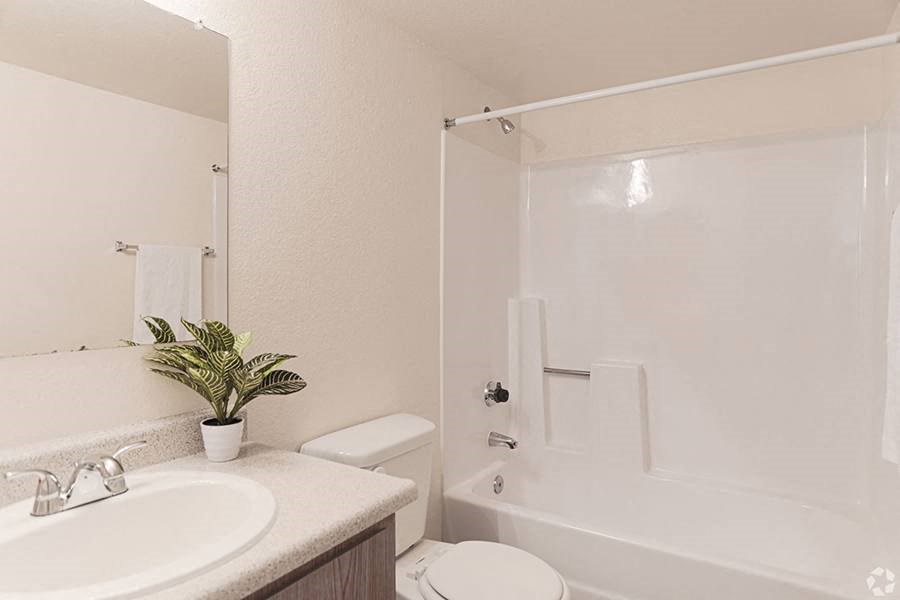 Ashford Park bathroom with single vanity and full shower and tub
