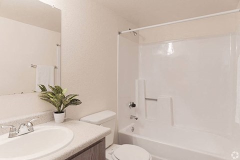 Ashford Park bathroom with single vanity and full shower and tub